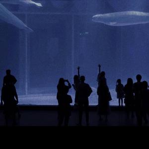 韩国三级在线不卡播放
